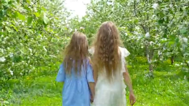 Adorables niñas en el jardín de manzanos en flor en el día de primavera — Vídeo de stock