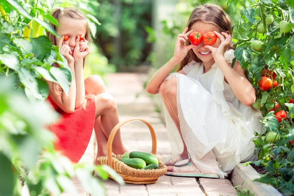 Portrait of kids with the big tomatoes in hands in greenhouse — Stock Photo, Image