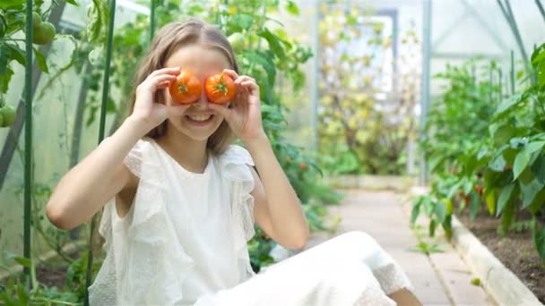 Portrait d'enfant avec la grosse tomate dans les mains en serre — Video