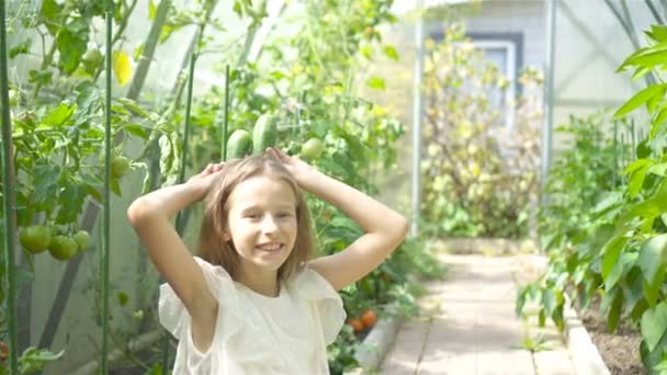 Söt liten flicka som skördar gurkor och tomater i växthus. — Stockvideo