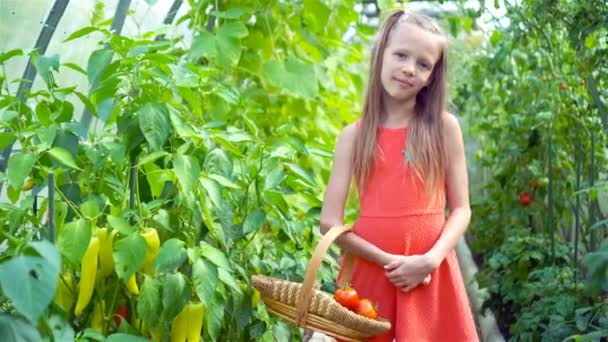 귀여운 소녀 가 온실에서오이와 토마토를 모은다 — 비디오