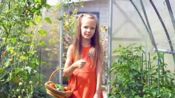 Cute little girl collects crop cucumbers and tomatos in greenhouse — Stock Video