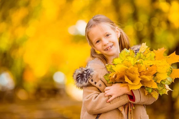 Portrait d'adorable petite fille avec bouquet de feuilles jaunes à l'automne — Photo