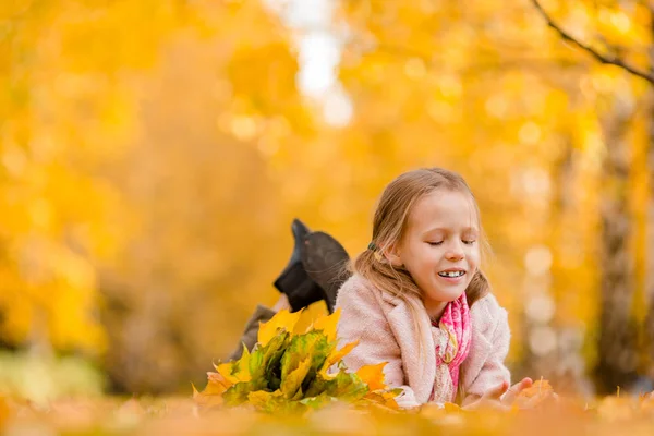 Portrait d'adorable petite fille avec bouquet de feuilles jaunes à l'automne — Photo