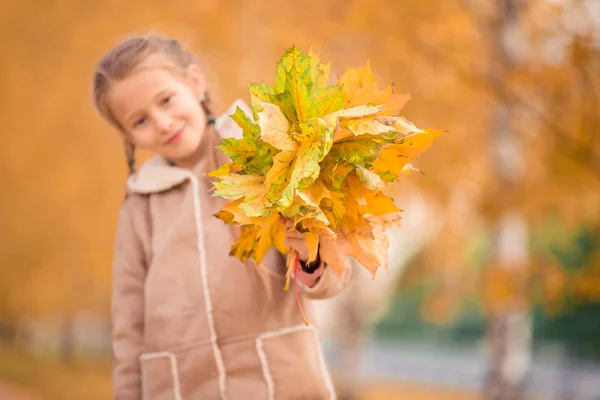 Sonbaharda sarı yapraklı sevimli küçük bir kızın portresi. — Stok fotoğraf