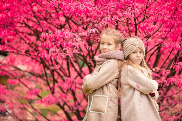 Маленькі чарівні дівчата в теплий день в осінньому парку на відкритому повітрі — стокове фото