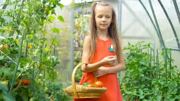 Симпатична маленька дівчинка збирає огірки і томати в теплиці — стокове відео