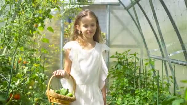 Schattig klein meisje verzamelt gewas komkommers en tomaten in kas — Stockvideo