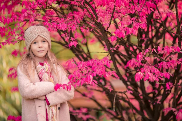 Söt liten flicka på vacker höstdag utomhus — Stockfoto