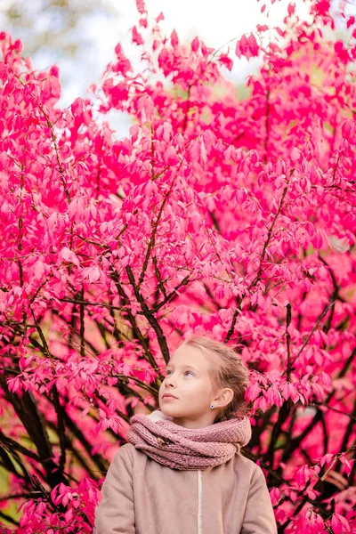Liebenswertes kleines Mädchen an einem schönen Herbsttag im Freien — Stockfoto