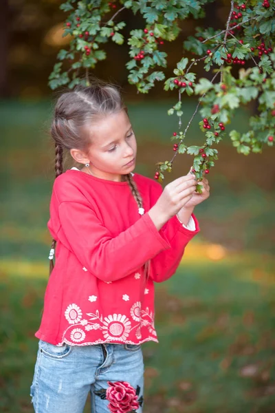 Liebenswertes kleines Mädchen an einem schönen Herbsttag im Freien — Stockfoto