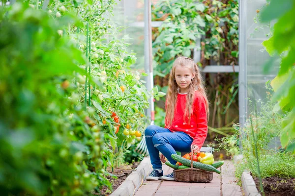 Cute Little Girl Collects Crop Cucumbers Tomatos Greenhouse — Stock Photo, Image