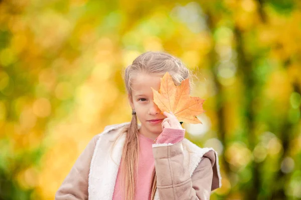 Adorable little girl at beautiful autumn day outdoors — Stock Photo, Image