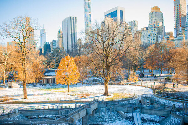 Central Park in winter, New York City, USA