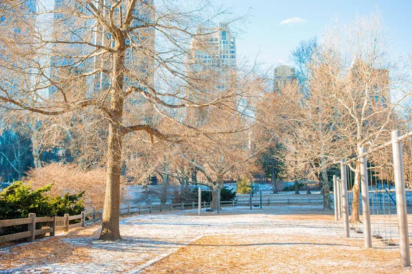 ニューヨーク市の美しい中央公園 — ストック写真