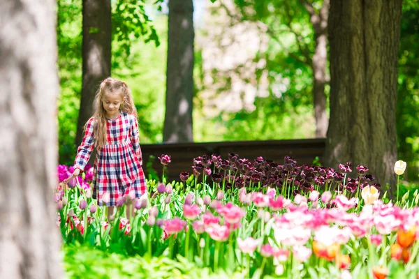 Pequena menina adorável cheirando tulipas coloridas no jardim de verão — Fotografia de Stock