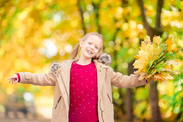 Portrait d'adorable petite fille avec bouquet de feuilles jaunes à l'automne — Photo