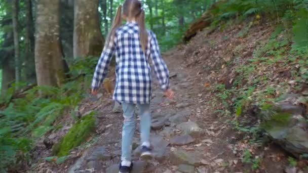 Hermosa niña feliz en las montañas en el fondo de la niebla — Vídeos de Stock