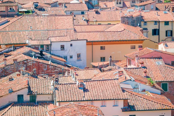 Vista aérea do edifício antigo com telhados vermelhos em Lucca — Fotografia de Stock