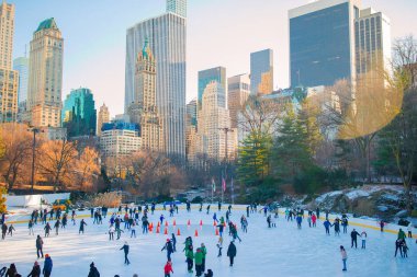 Central Park kışın, New York City, ABD