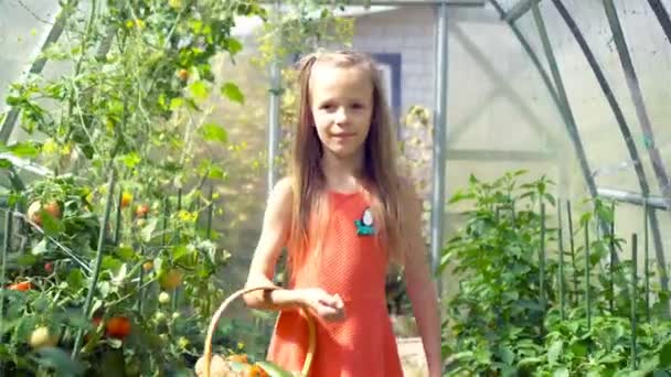 Schattig klein meisje verzamelt gewas komkommers en tomaten in kas — Stockvideo