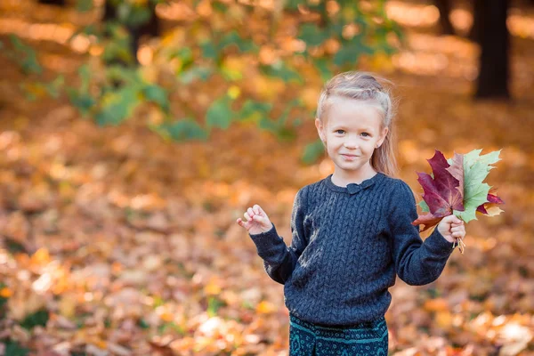 Portrét rozkošné holčičky se žlutými listy kytice na podzim — Stock fotografie