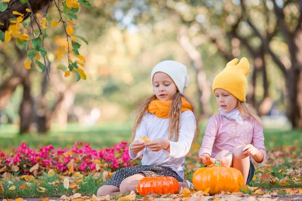 Little adorable girls at warm day in autumn park outdoors — Stock Photo, Image