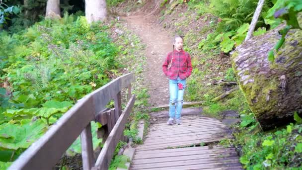 Schöne glückliche kleine Mädchen in den Bergen im Hintergrund des Nebels — Stockvideo