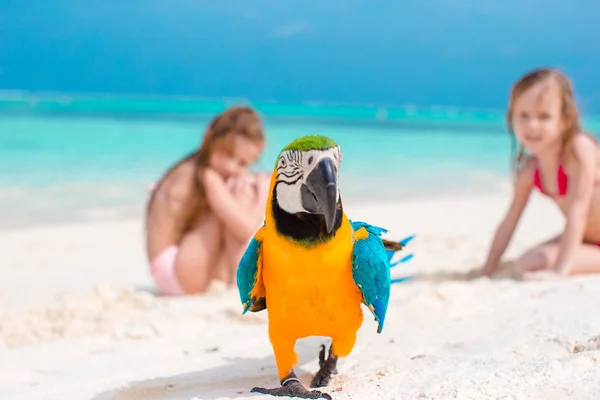 Renkli papağan ile plajda sevimli küçük kızlar — Stok fotoğraf