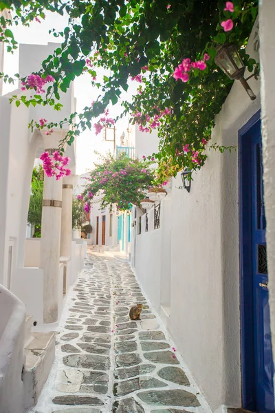 Tradiční řecké vesnice. Ulice a domy — Stock fotografie
