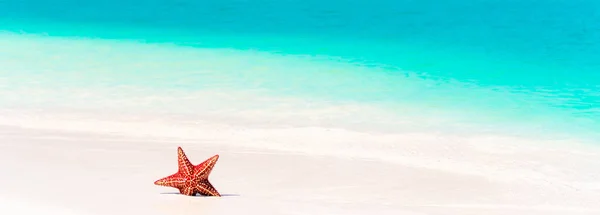 Tropický bílý písek s červenou hvězdicí v průzračné vodě — Stock fotografie