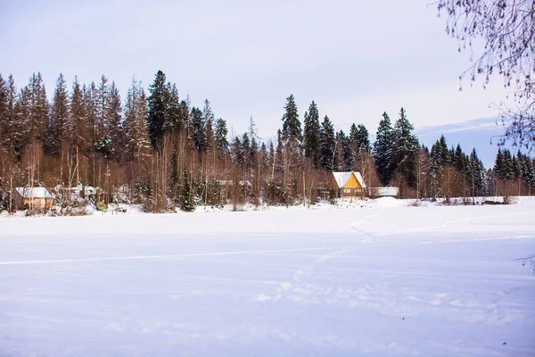 Зимовий пейзаж з маленьким будинком у лісі — стокове фото