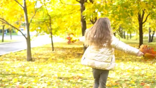 Retrato de niña adorable con ramo de hojas amarillas en otoño — Vídeos de Stock