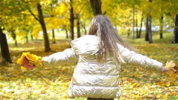 Portrait d'adorable petite fille avec bouquet de feuilles jaunes à l'automne — Video