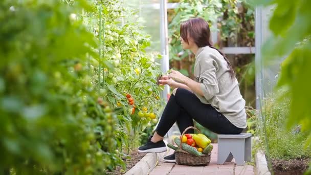 Giovane donna con cesto di verde e verdure in serra. Tempo di raccolta . — Video Stock