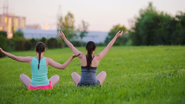 Jóvenes mujeres fitness activas haciendo ejercicios al aire libre. Dos chicas deportivas practican deportes en narure en el parque — Vídeo de stock