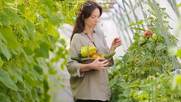 年轻女子提着一篮子蔬菜和洋葱在温室里 — 图库视频影像