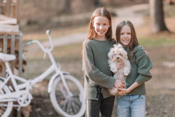 Kleine meisjes met een witte pup. Een pup in de handen van een meisjes — Stockfoto