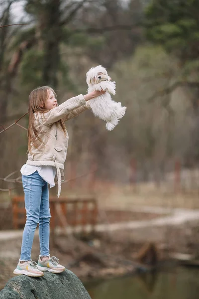 Menina com um cachorro branco. Um cachorro nas mãos de uma menina — Fotografia de Stock