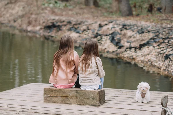 Bambine con un cucciolo bianco. Un cucciolo nelle mani di una ragazza — Foto Stock