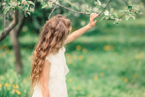 Çiçekli elma bahçesinde küçük sevimli bir kız güzel bir bahar günü — Stok fotoğraf