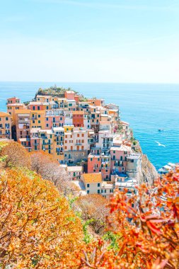 Cinque Terre Reserve 'deki güzel ve rahat Manarola köyünün göz kamaştırıcı manzarası.