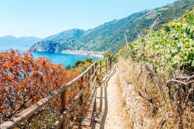 Gökyüzü yolu Cinque Terre 'deki en basit, en ünlü ve en çok ziyaret edilen patikadır.