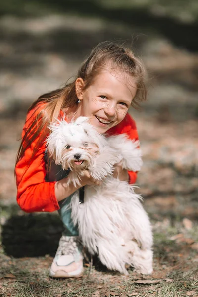 Menina com um cachorro branco. Um cachorro nas mãos de uma menina — Fotografia de Stock