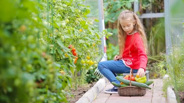 Adorable little girl collecting crop cucumbers and tomatoes in greenhouse. Portrait of kid with red tomato in hands. — Stock Video