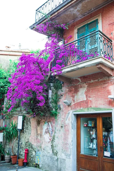 Viejas calles estrechas y vacías en la pequeña ciudad de Monterosso — Foto de Stock