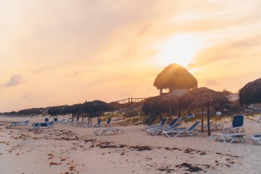 Pastoral tropikal plaj beyaz kum, turkuaz okyanus su ve büyük palmiye ağaçları ile