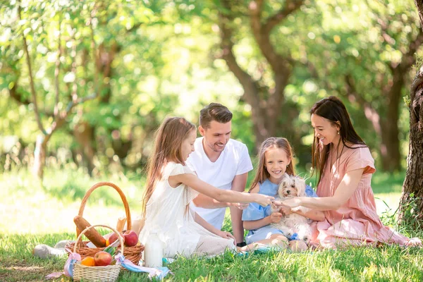 Happy family on a picnic in the park on a sunny day — Stock Photo, Image