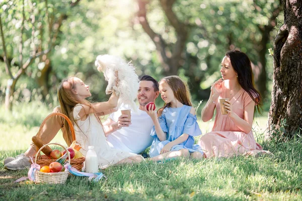 Glückliche Familie bei einem Picknick im Park an einem sonnigen Tag — Stockfoto