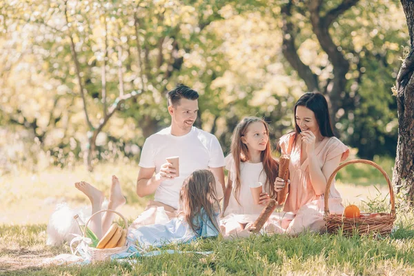 Glückliche Familie bei einem Picknick im Park an einem sonnigen Tag — Stockfoto